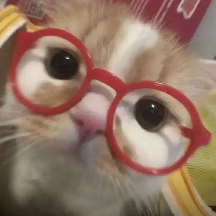 我用扁桃体发言