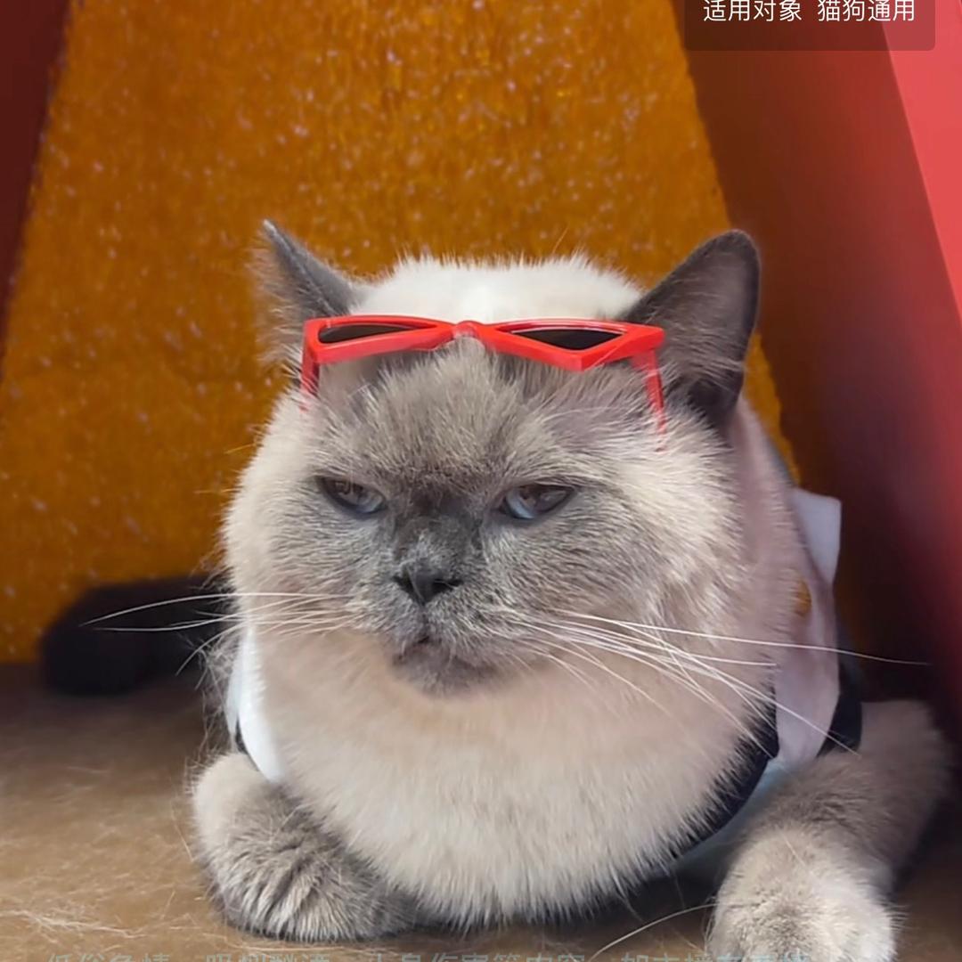 看什么看？