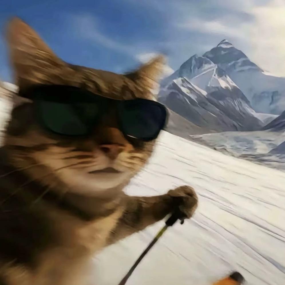 深圳市鹤还林麓科技有限公司 秦天