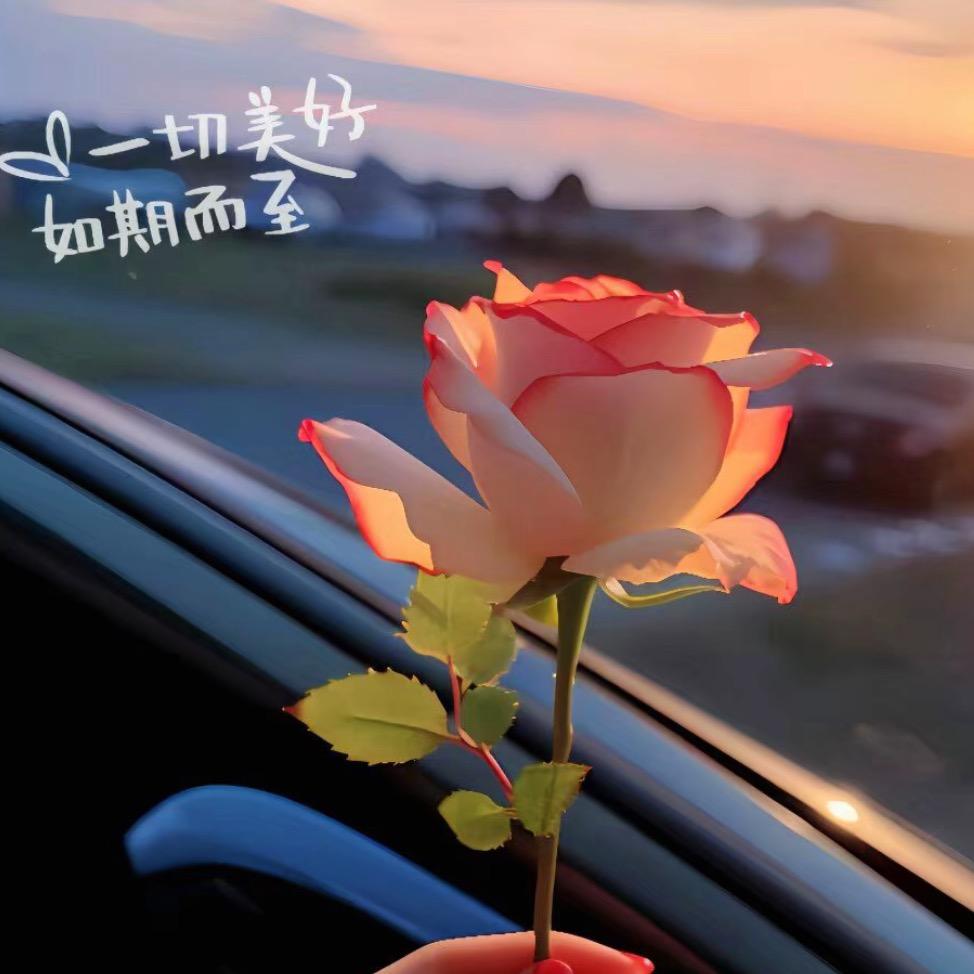 清☆*欢
