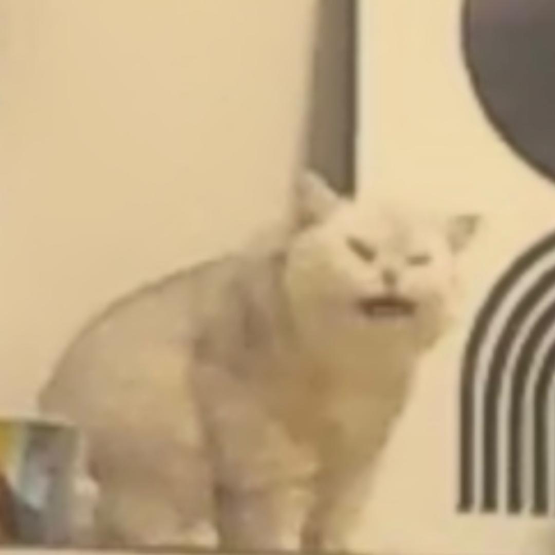 豆