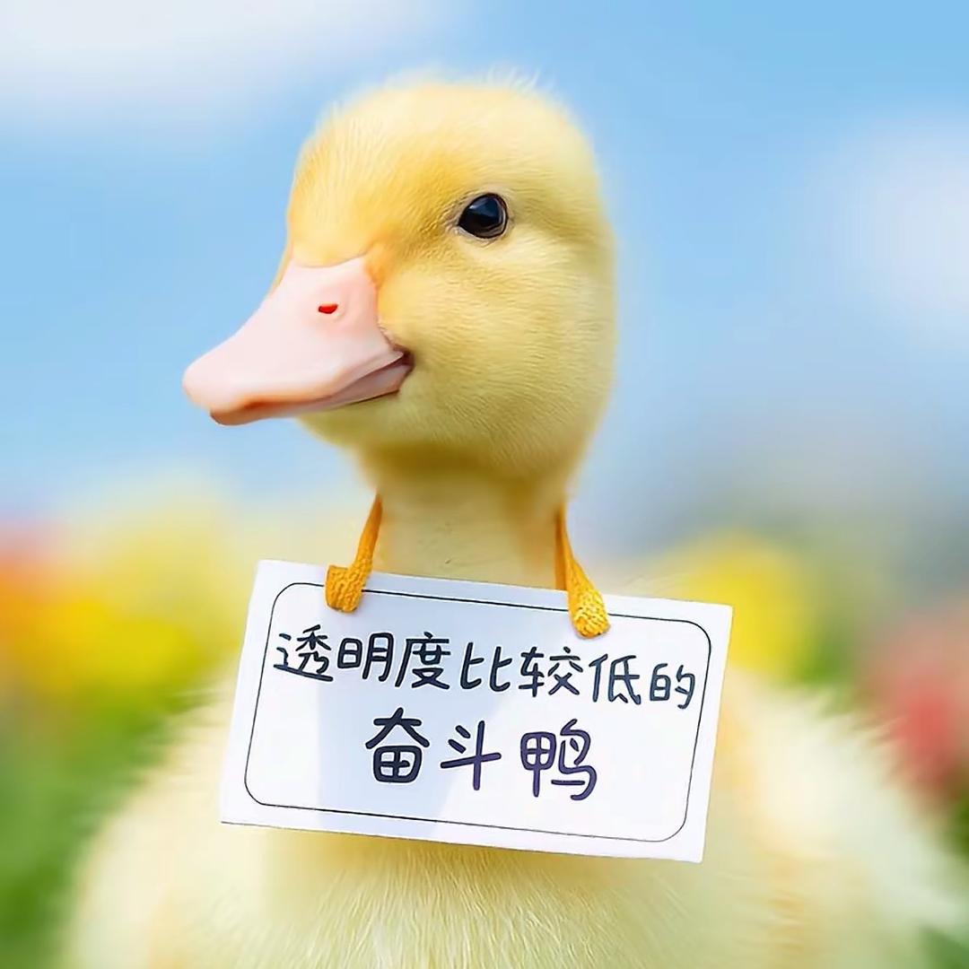 合同鸭投放
