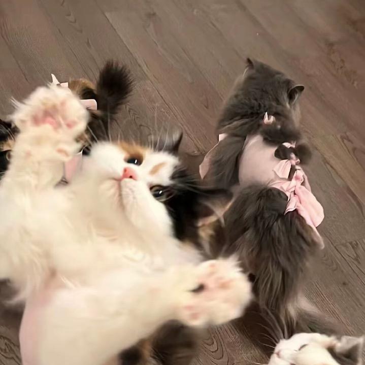 墨西哥的羊肉汤