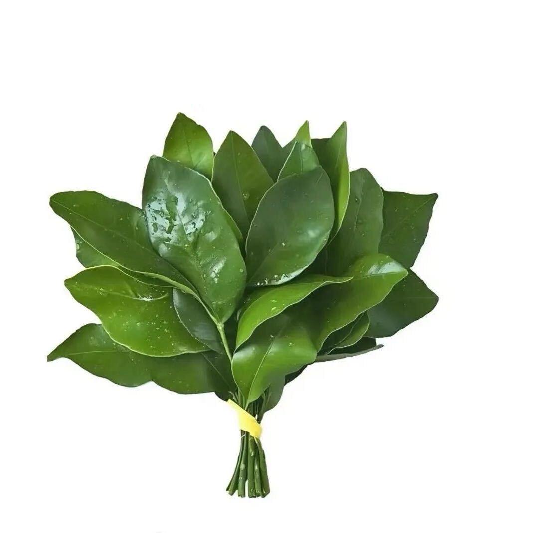 我不困-