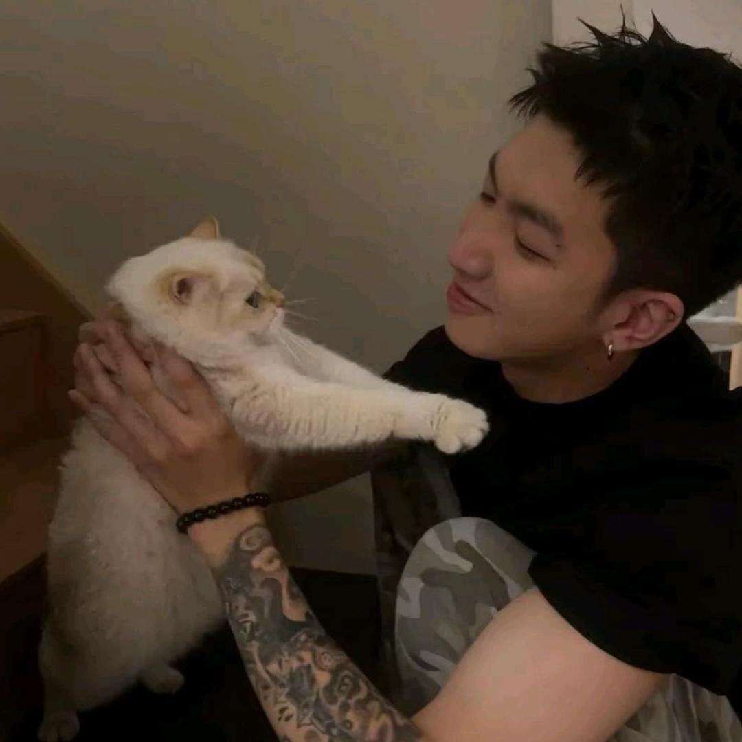 ︋ ︋ ㅤㅤ︋  ㅤ ︋