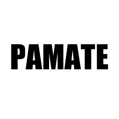 帕玛特PAMATE男鞋工厂店