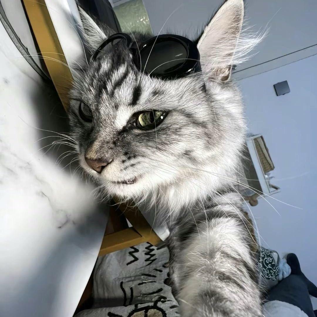 TIGA