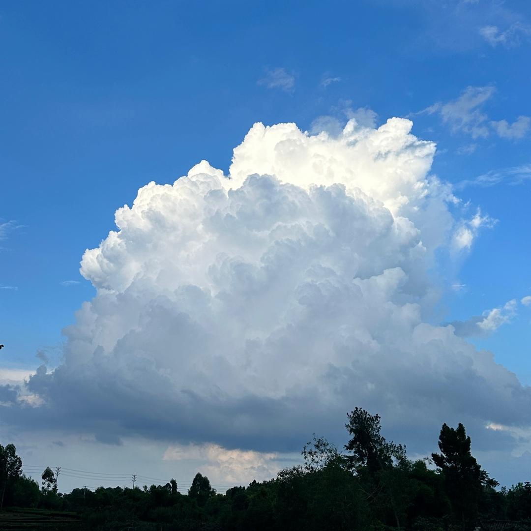 读着倒会才猪小