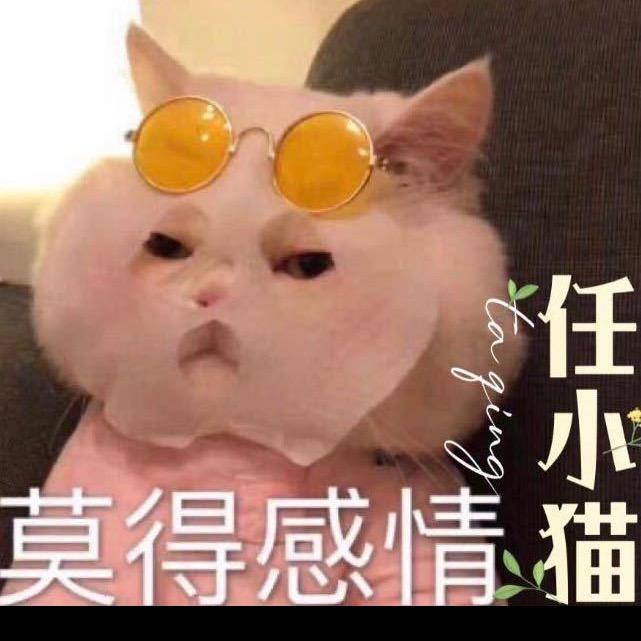 任小猫