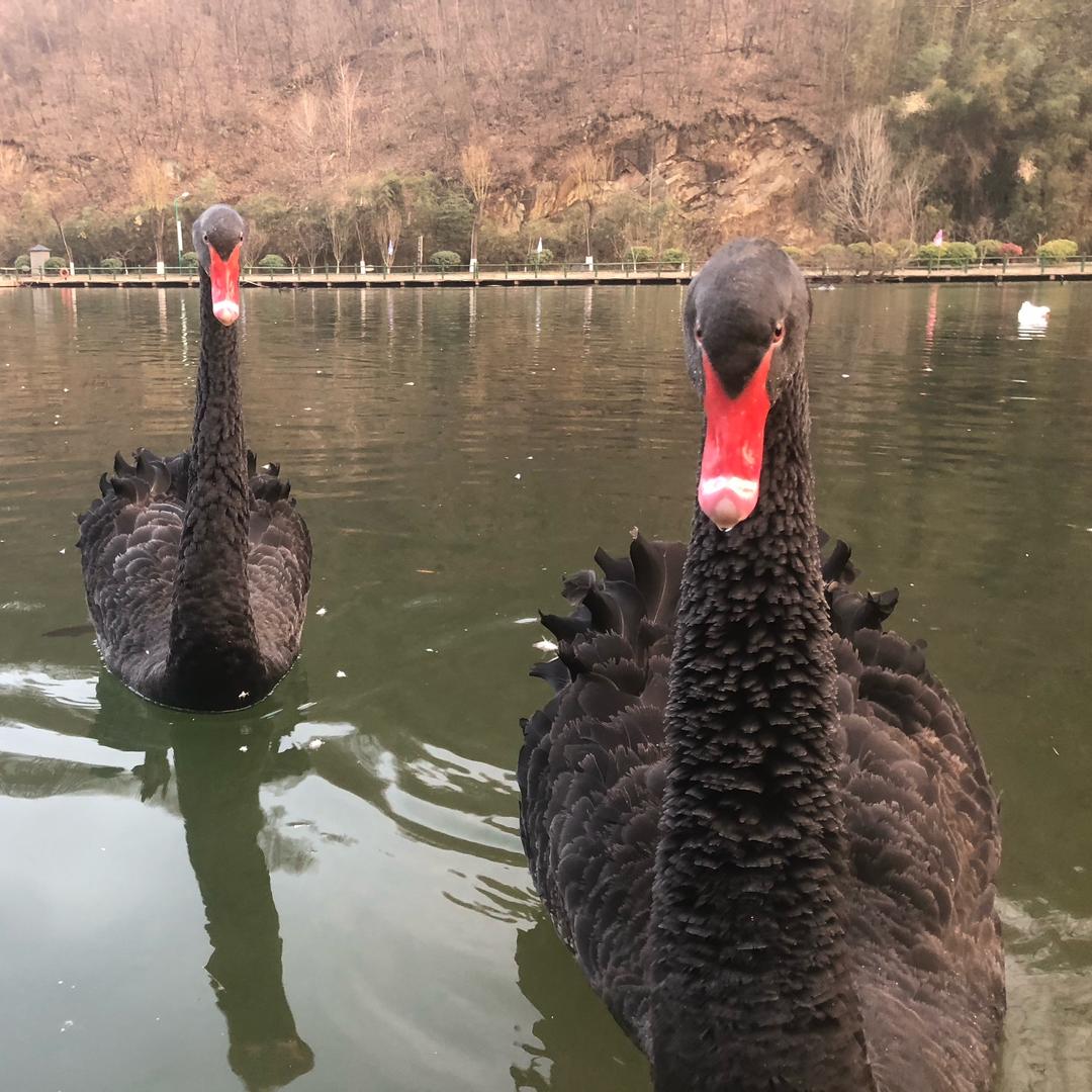 🤣笑看人生😊