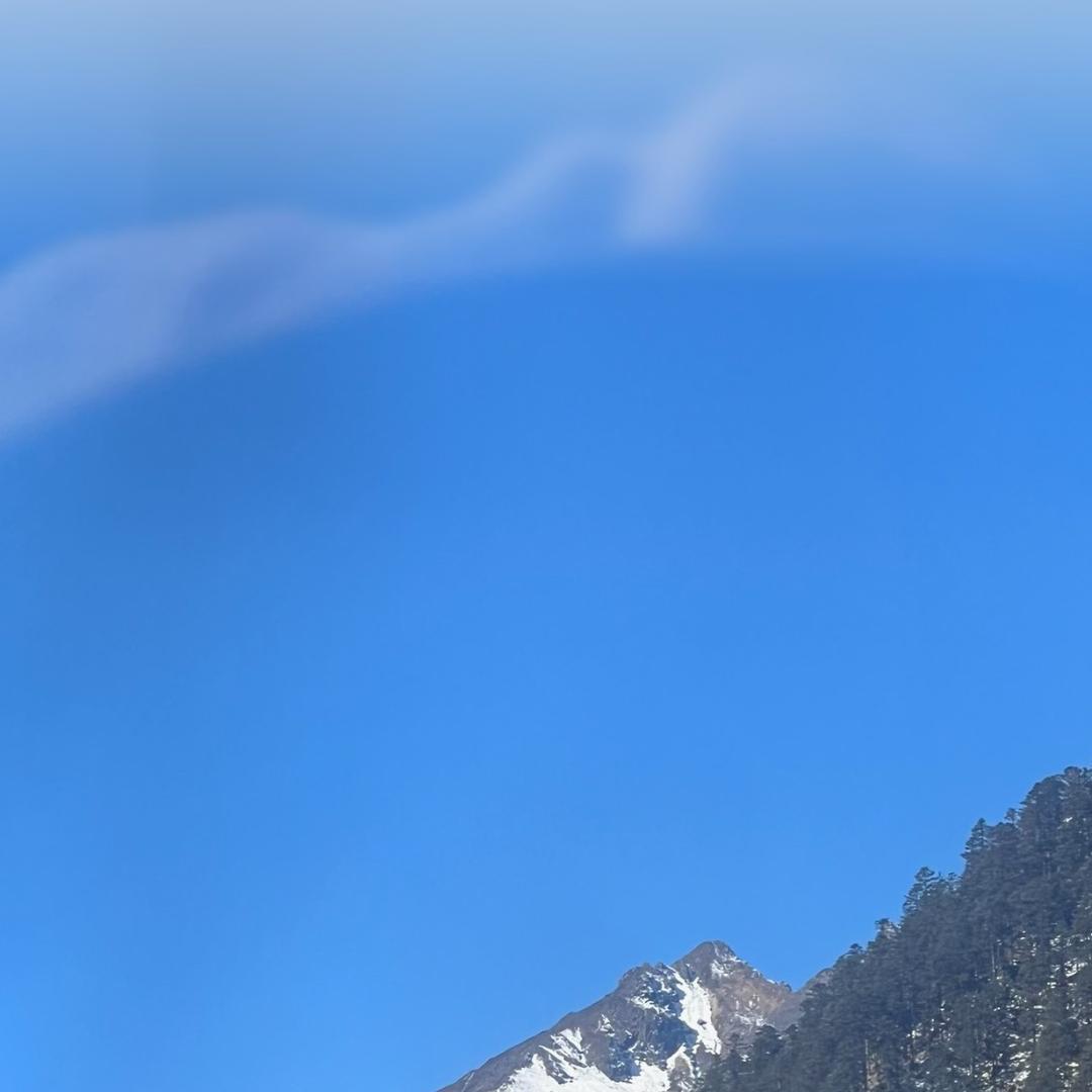 风有约·花不误