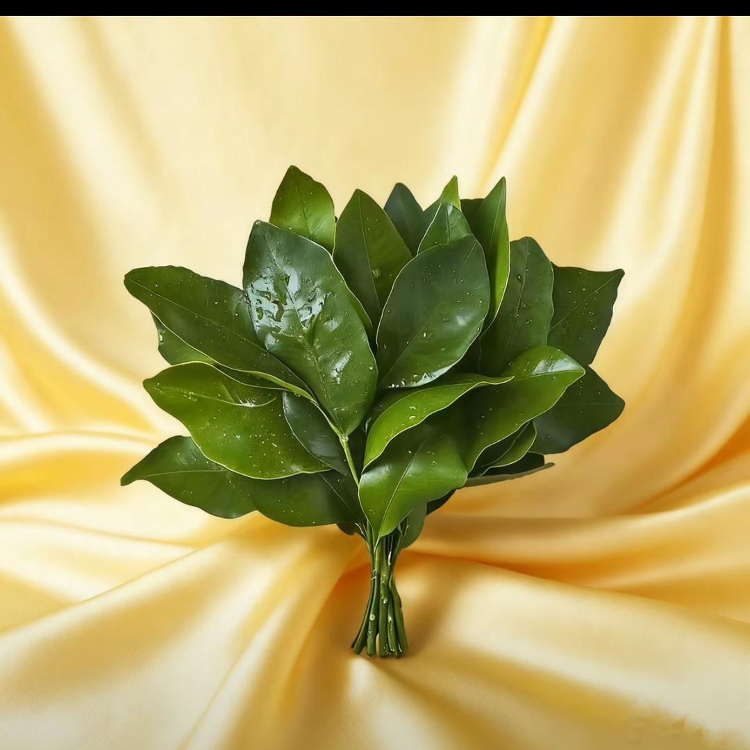 半满