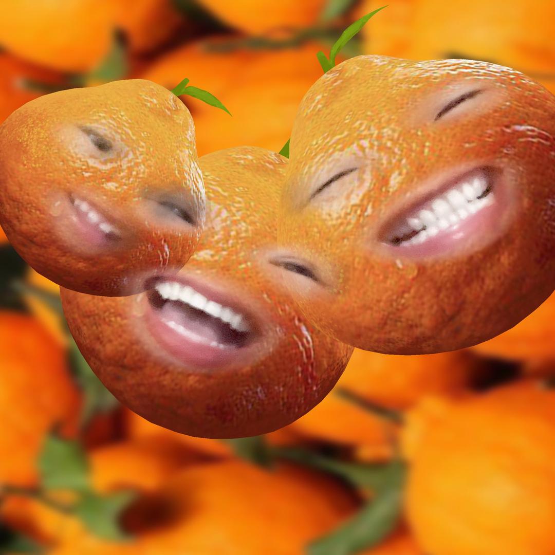 不发脾气只发财🤑