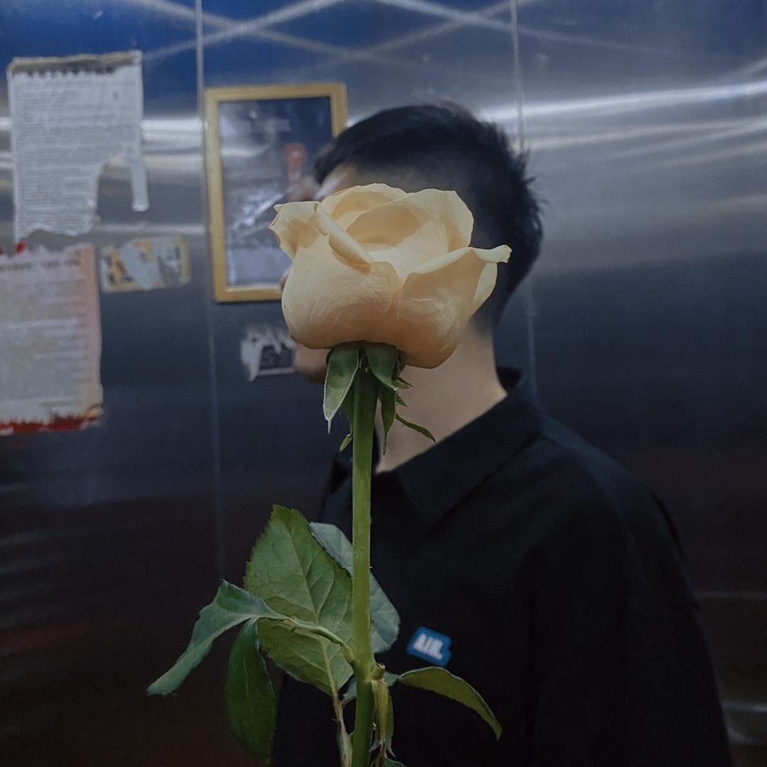 绥中伯乐台球