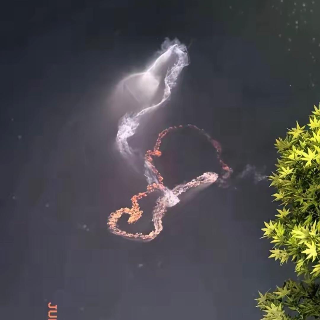 早起的虫儿被鸟吃