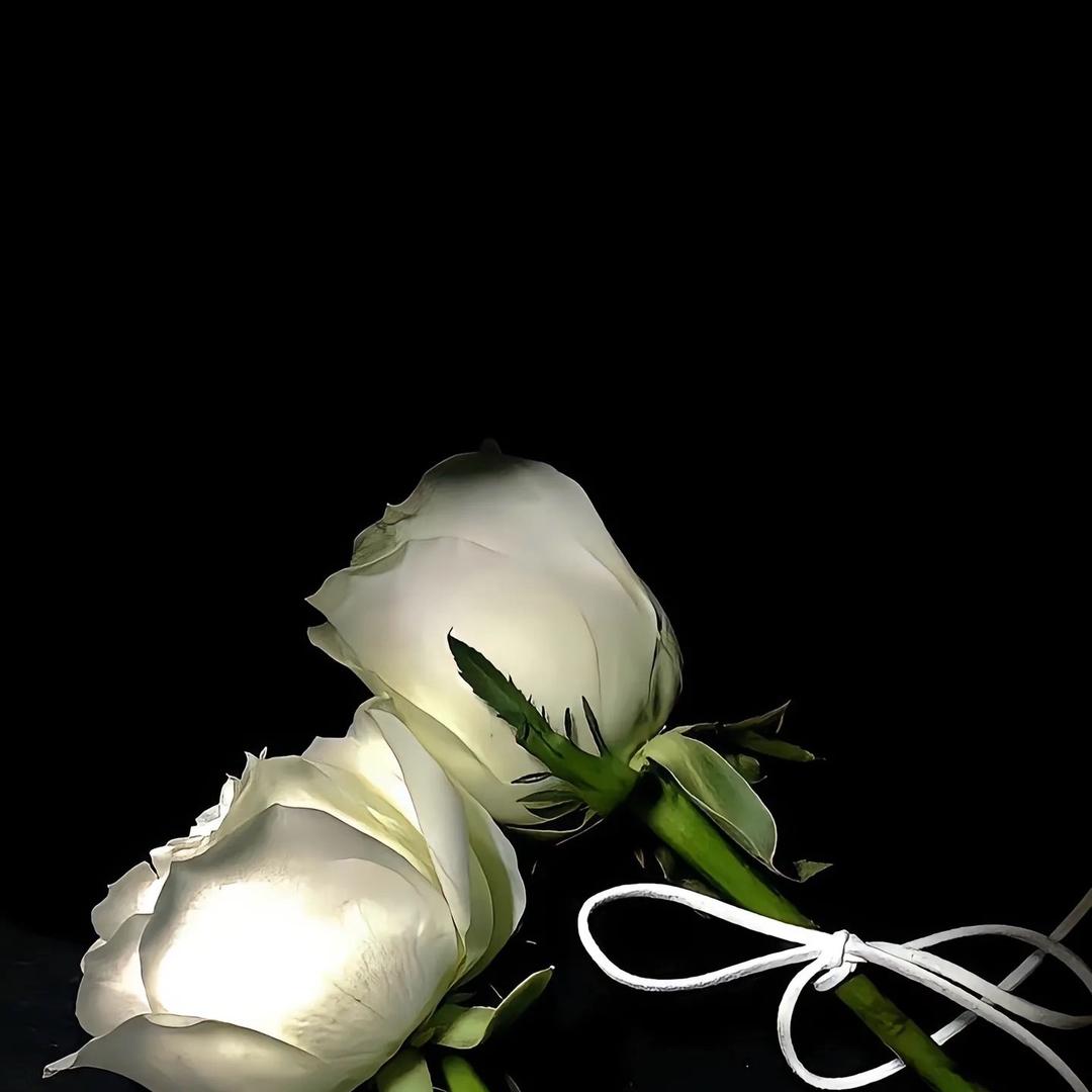 @𝓒𝓐𝓜𝓔𝓛𝓛𝓲𝓐🍵