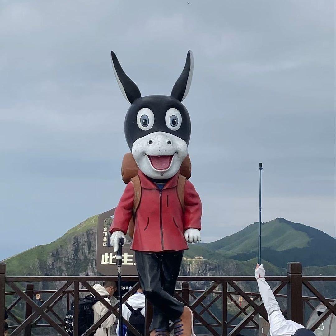 台州小森二手车-10