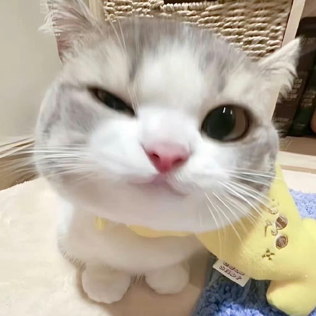 平安是福好运连连福气满满