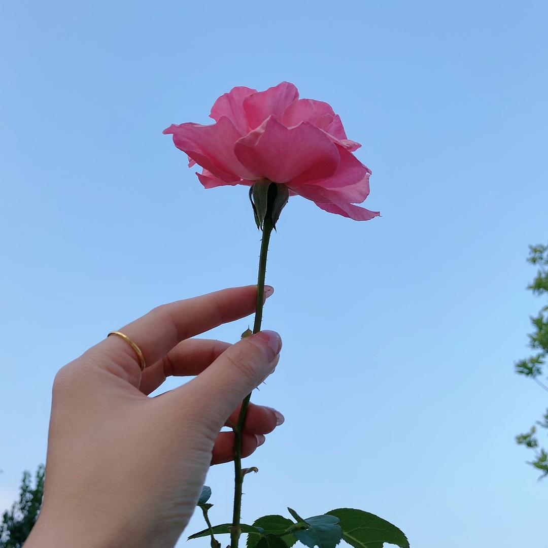 💕米修米修❤️