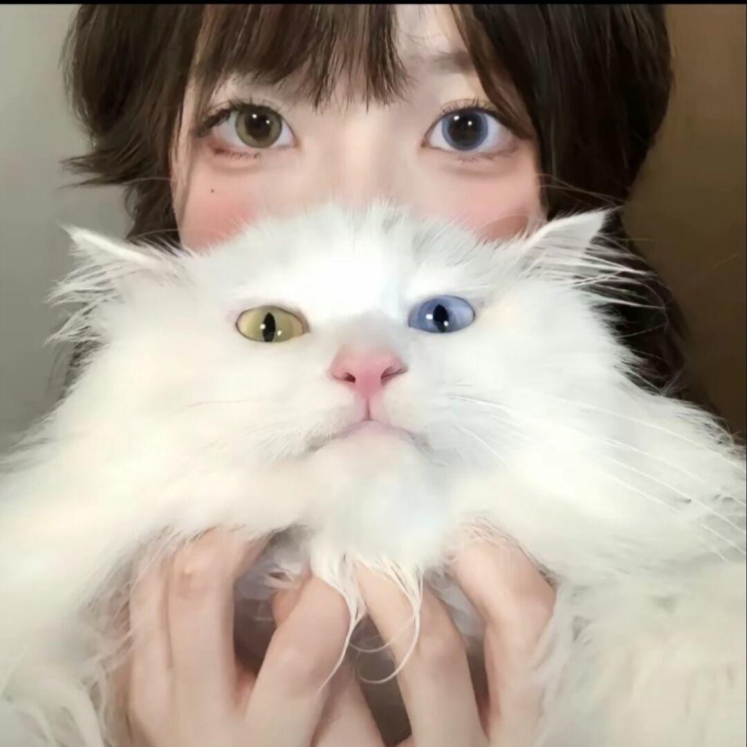 星期一~