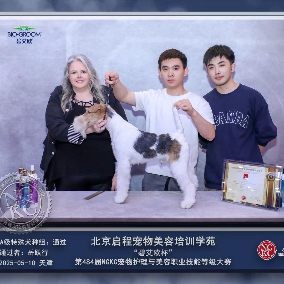 启程宠物美容培训学苑-岳航