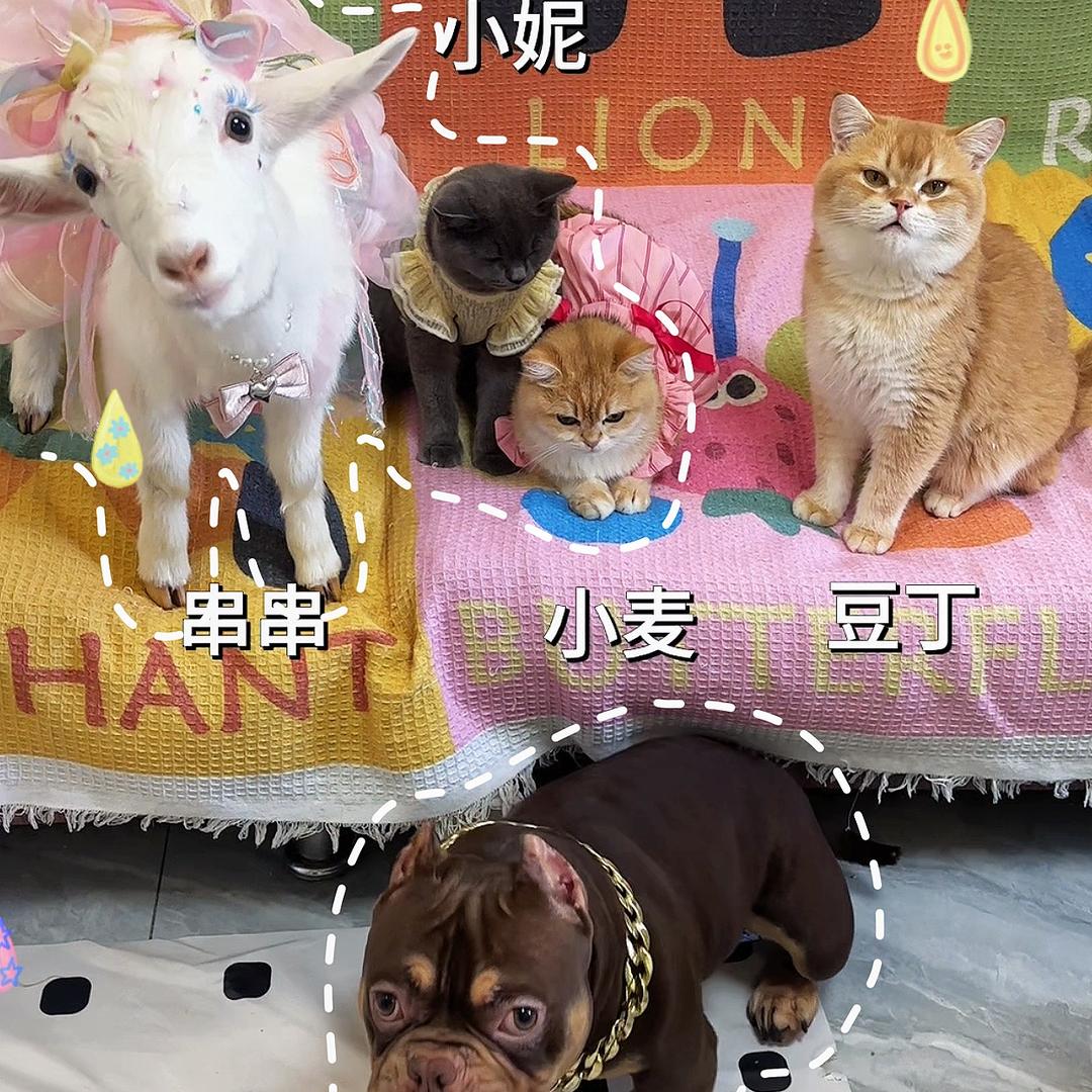 串串公主