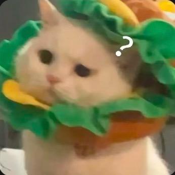 生菜大王🥬.