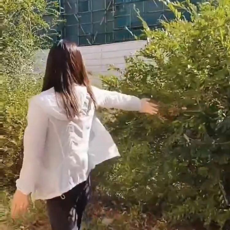 梦姐