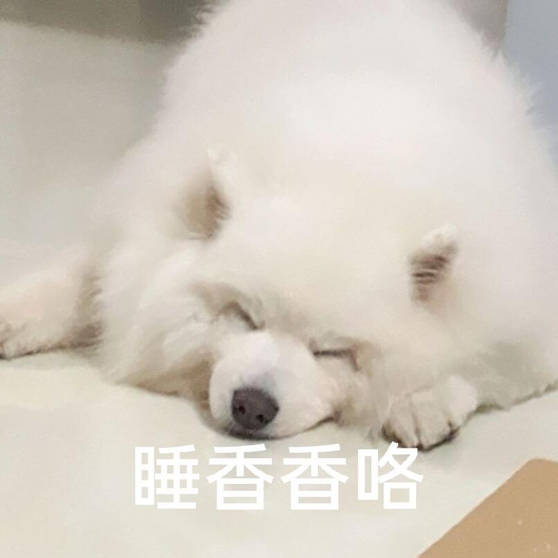 揶揄
