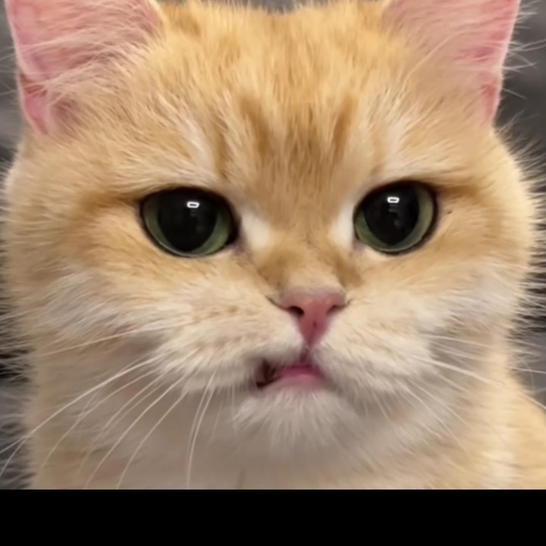 子瑒