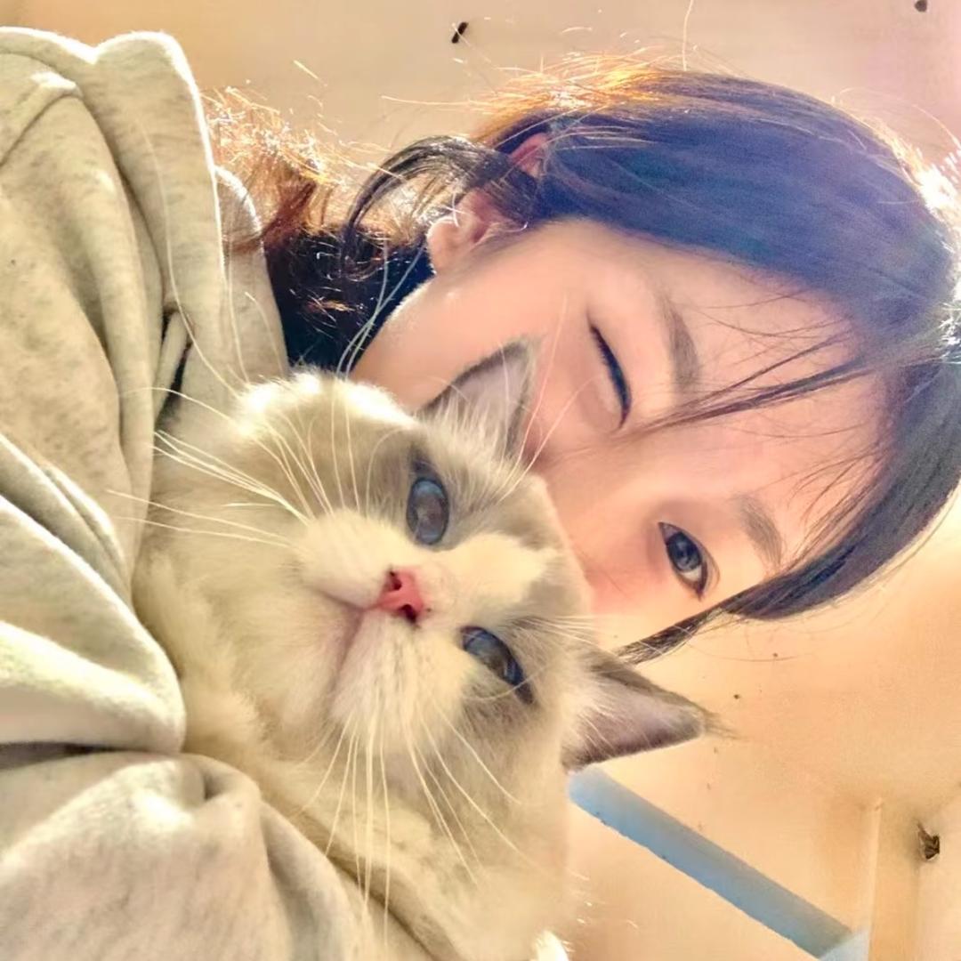 忧郁小薯条.
