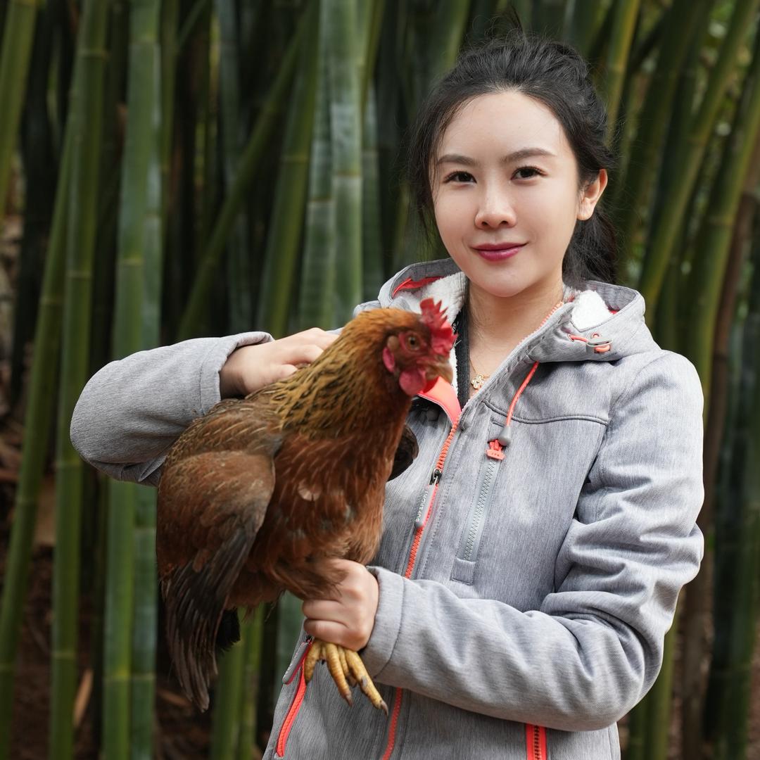 Kelly姐叹鸡