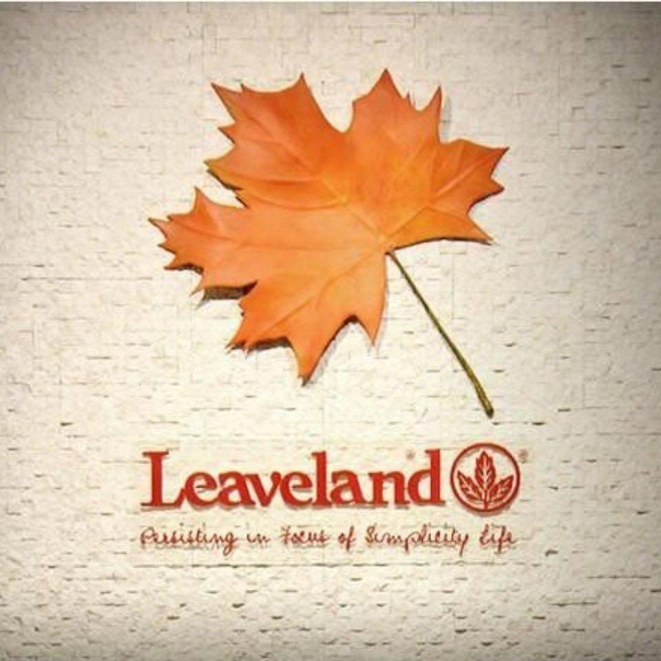 Leaveland枫叶鞋类旗舰店