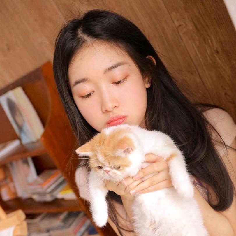 大观视界