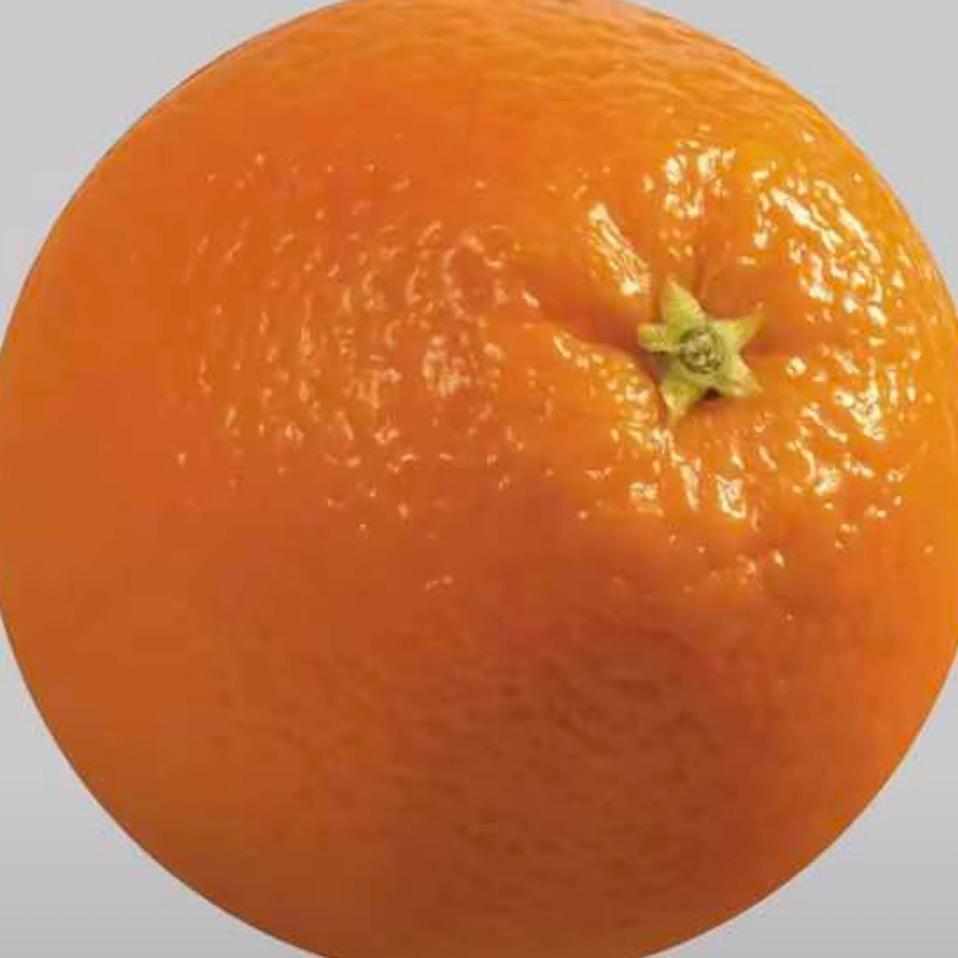 豆角粉