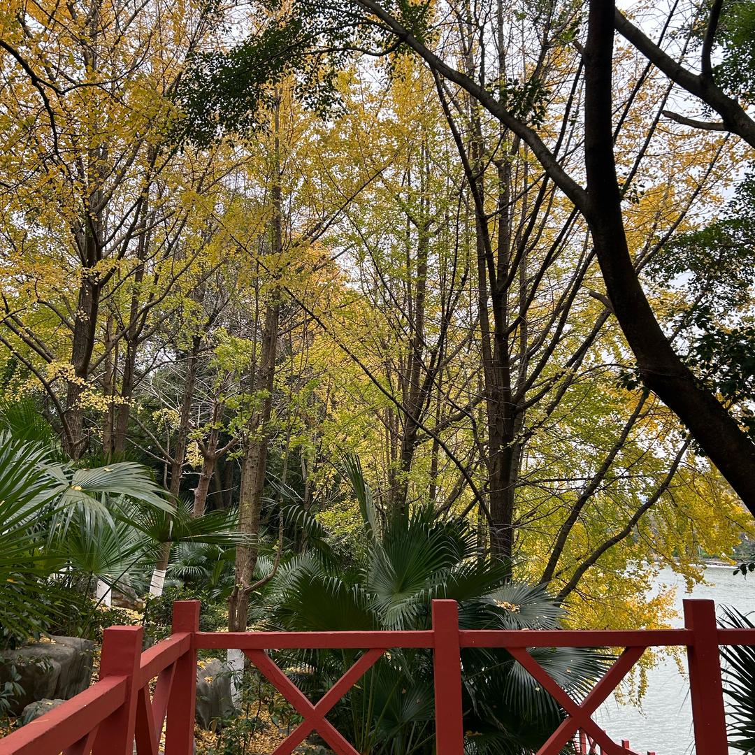 滑稽