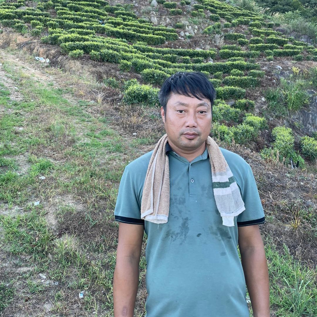 大别山茶农赵戬