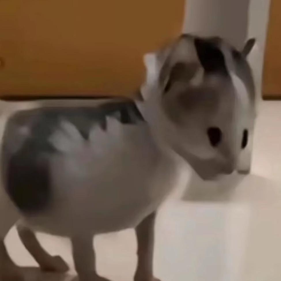 十八