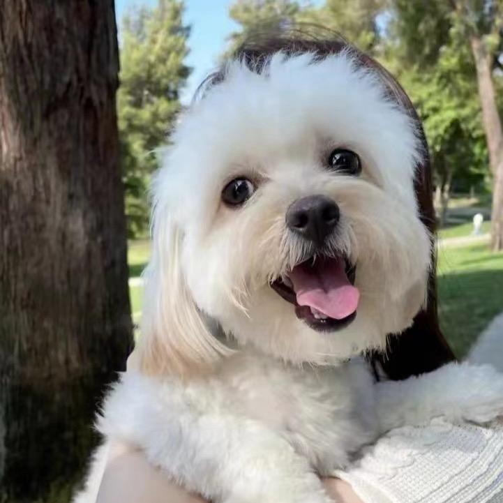 伯乐十里庙超市