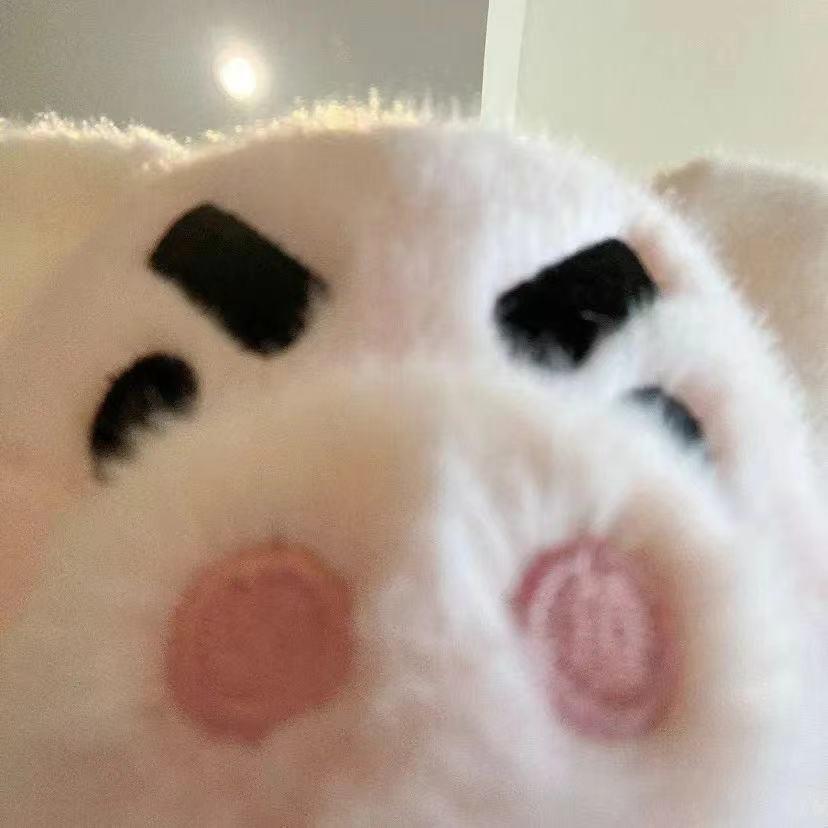 及時行樂.