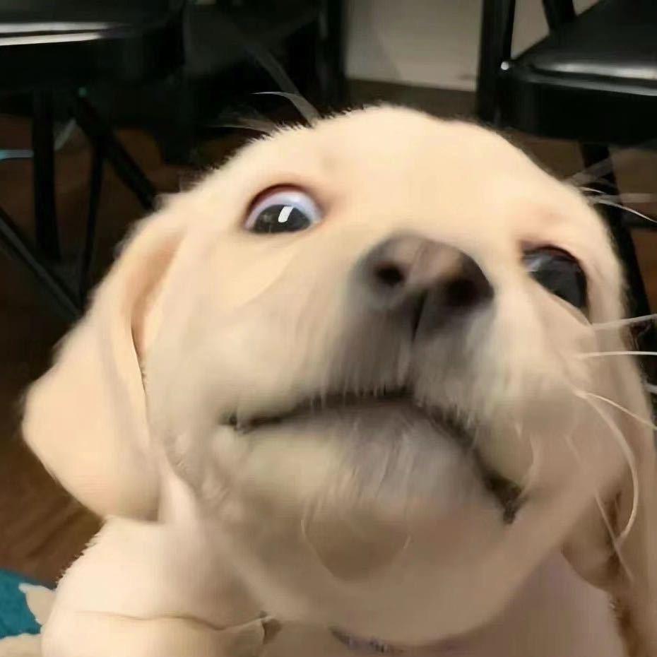 V.