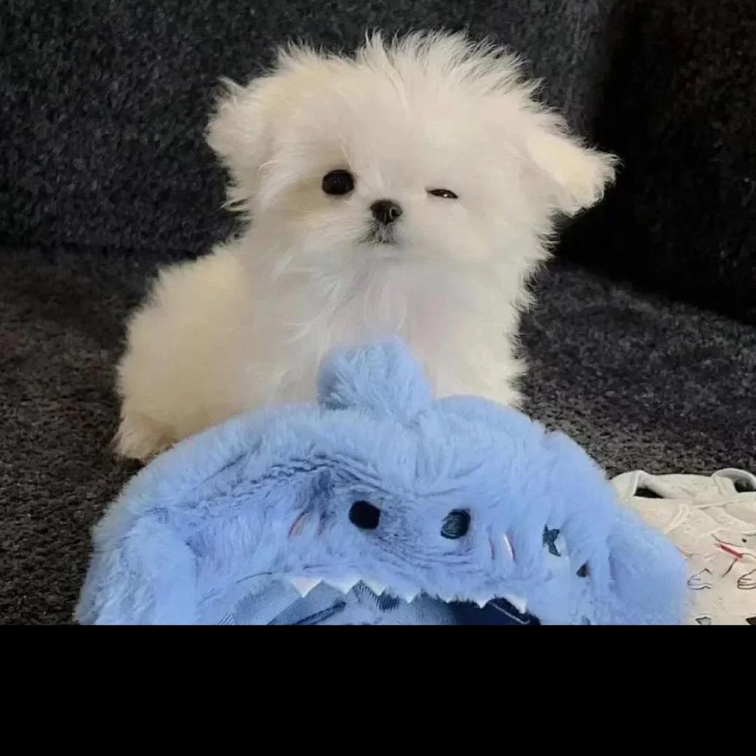 •
