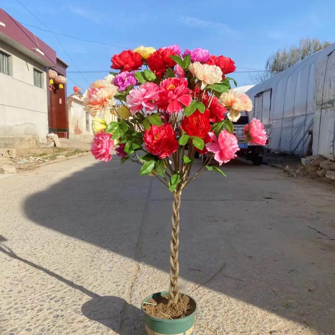 满园飘香精品花木