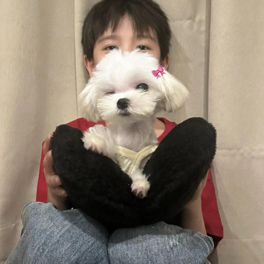 杨小胖