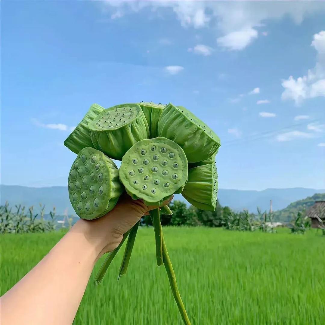 五谷乡田