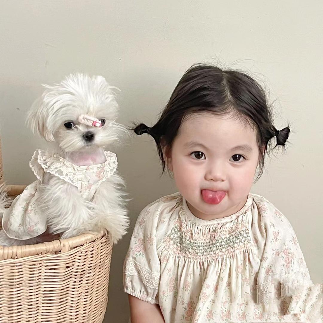 小乐乐😘