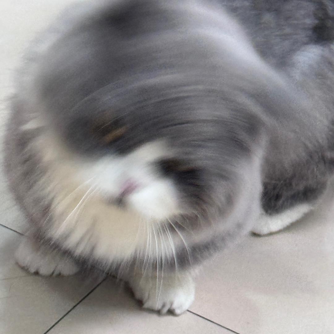 ahdgjorcn