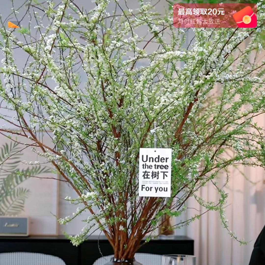 漳州叁叁绿植店