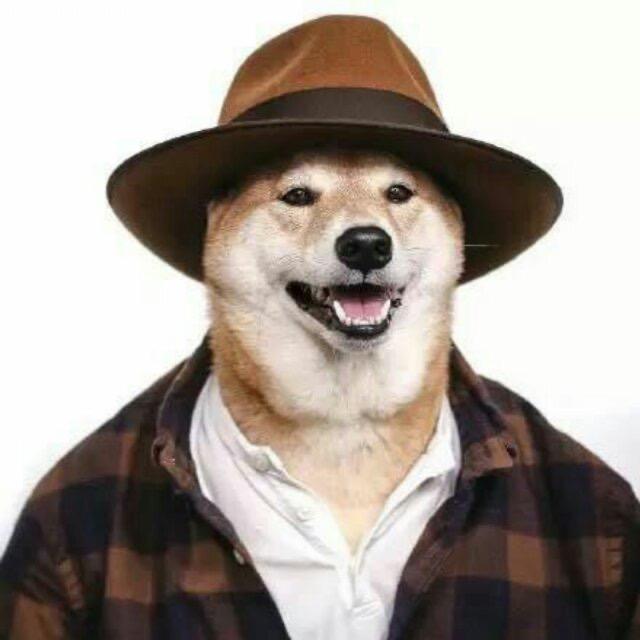 深圳南山萌旺萌宠狗舍犬舍