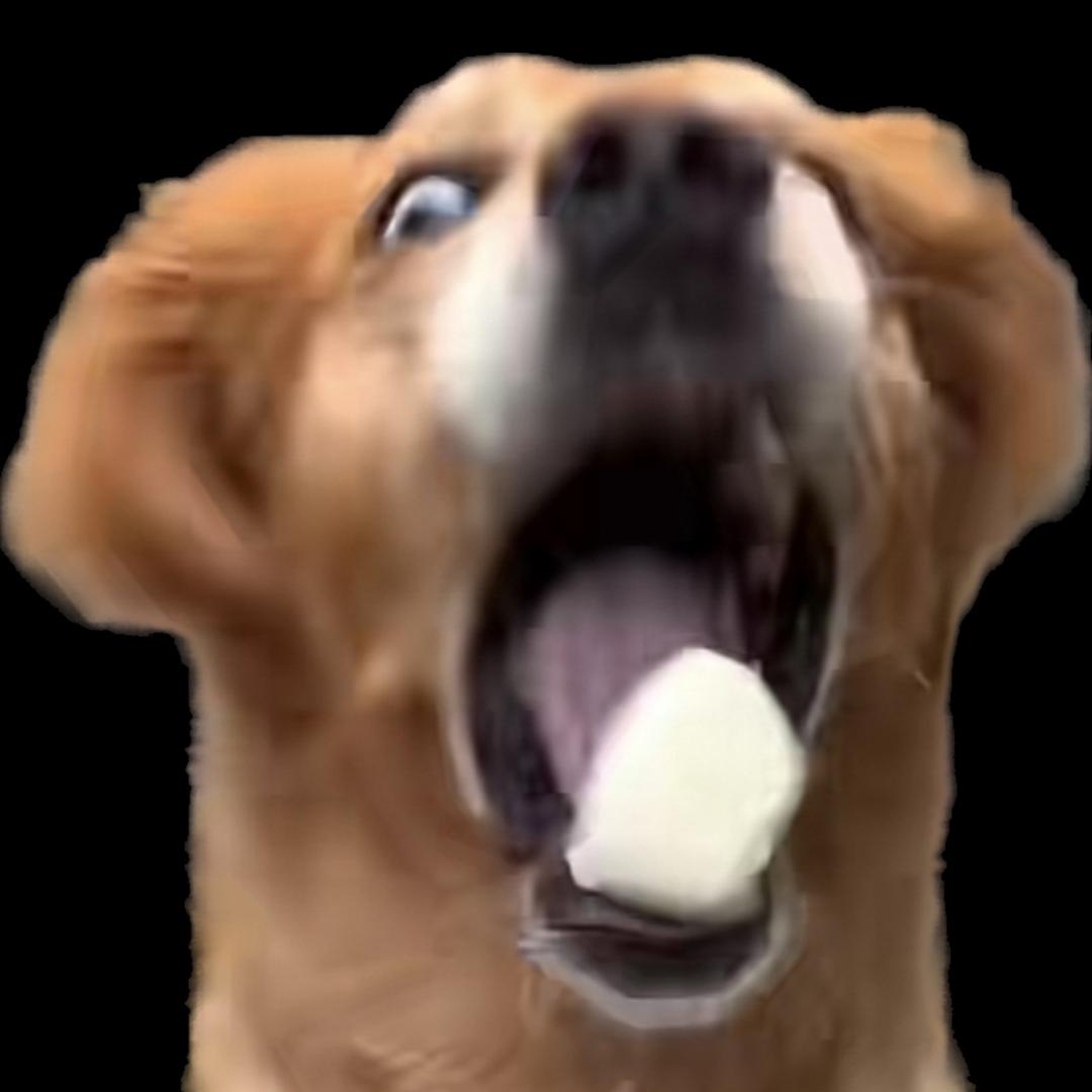 suuu苏苏